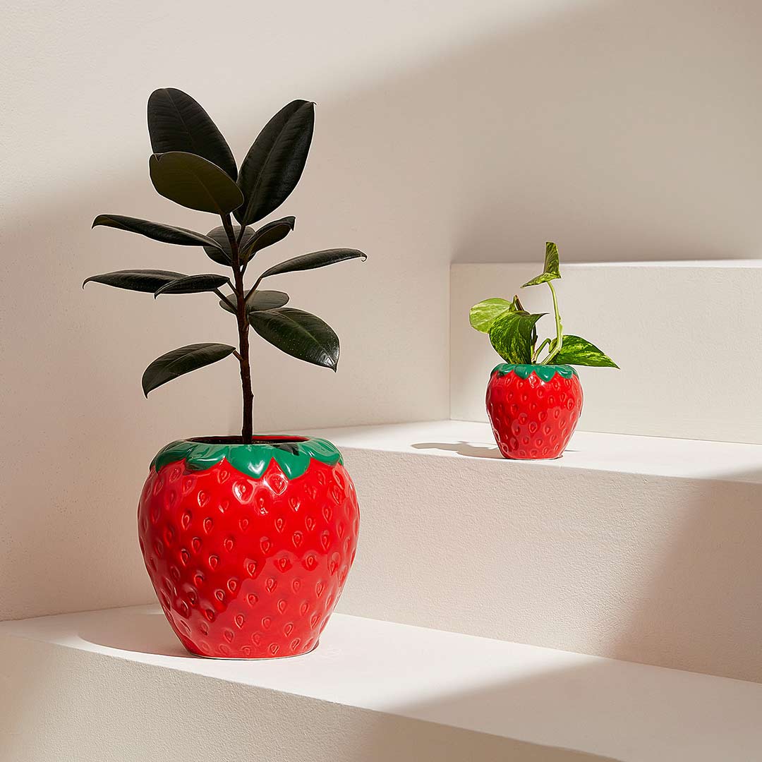 cache-pot en forme de fraise